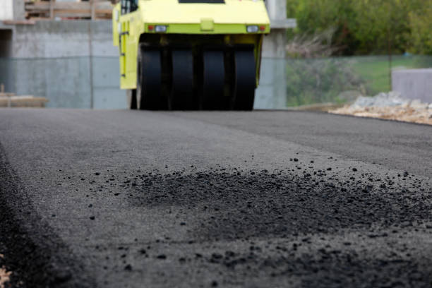 Best Concrete Paver Driveway  in Taos Pueblo, NM